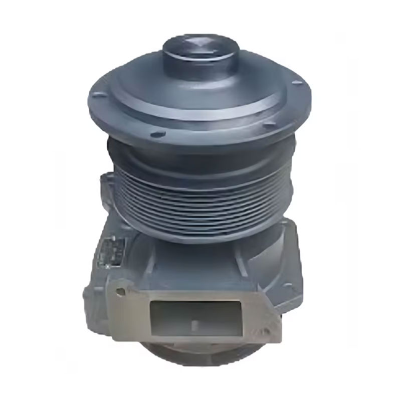 Pompo e Ncha 612600061603